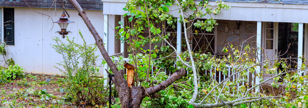 Property claim damage inspection